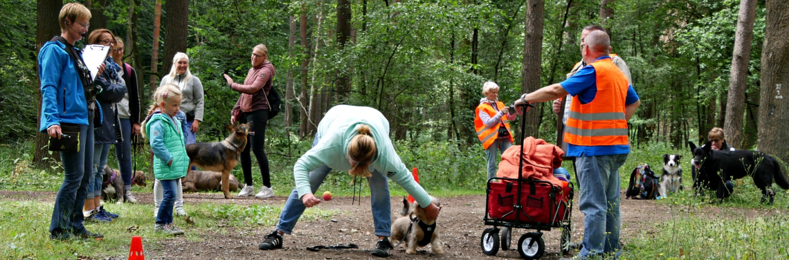 Social Walk